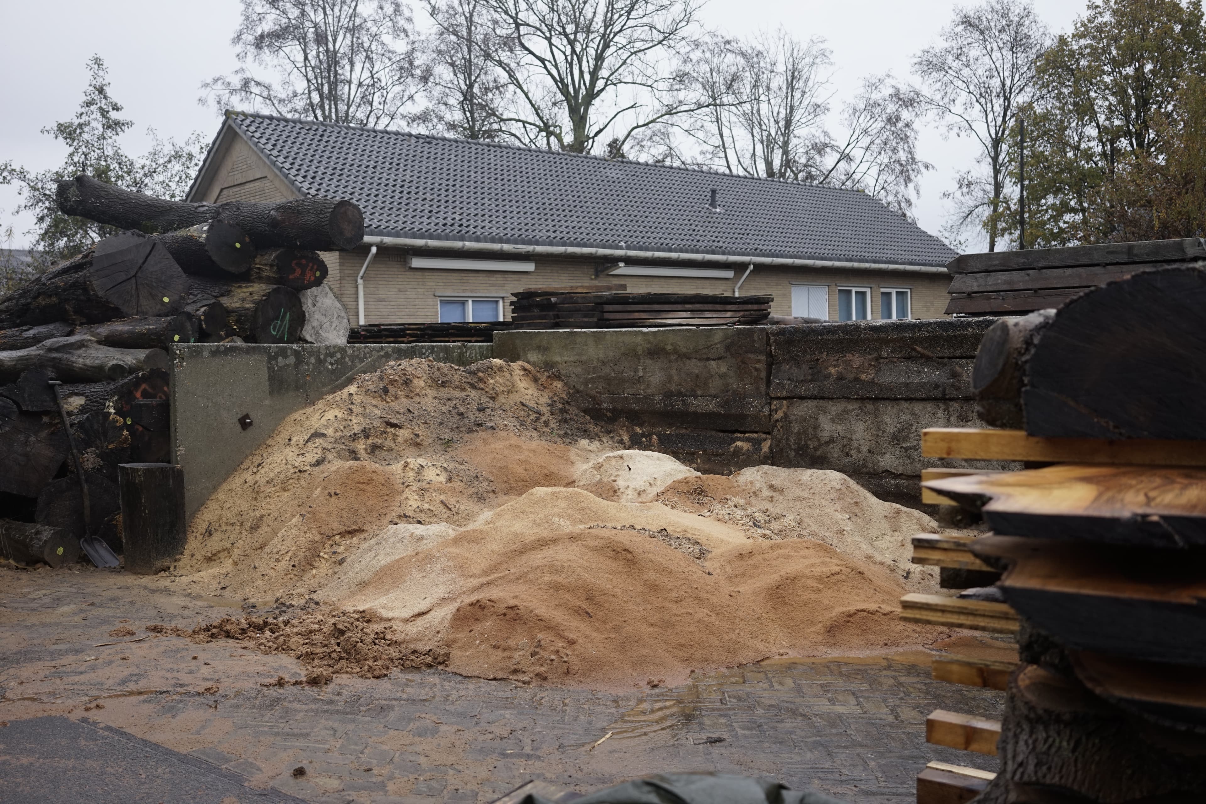 Pile of sawdust on the plot of the sawmill