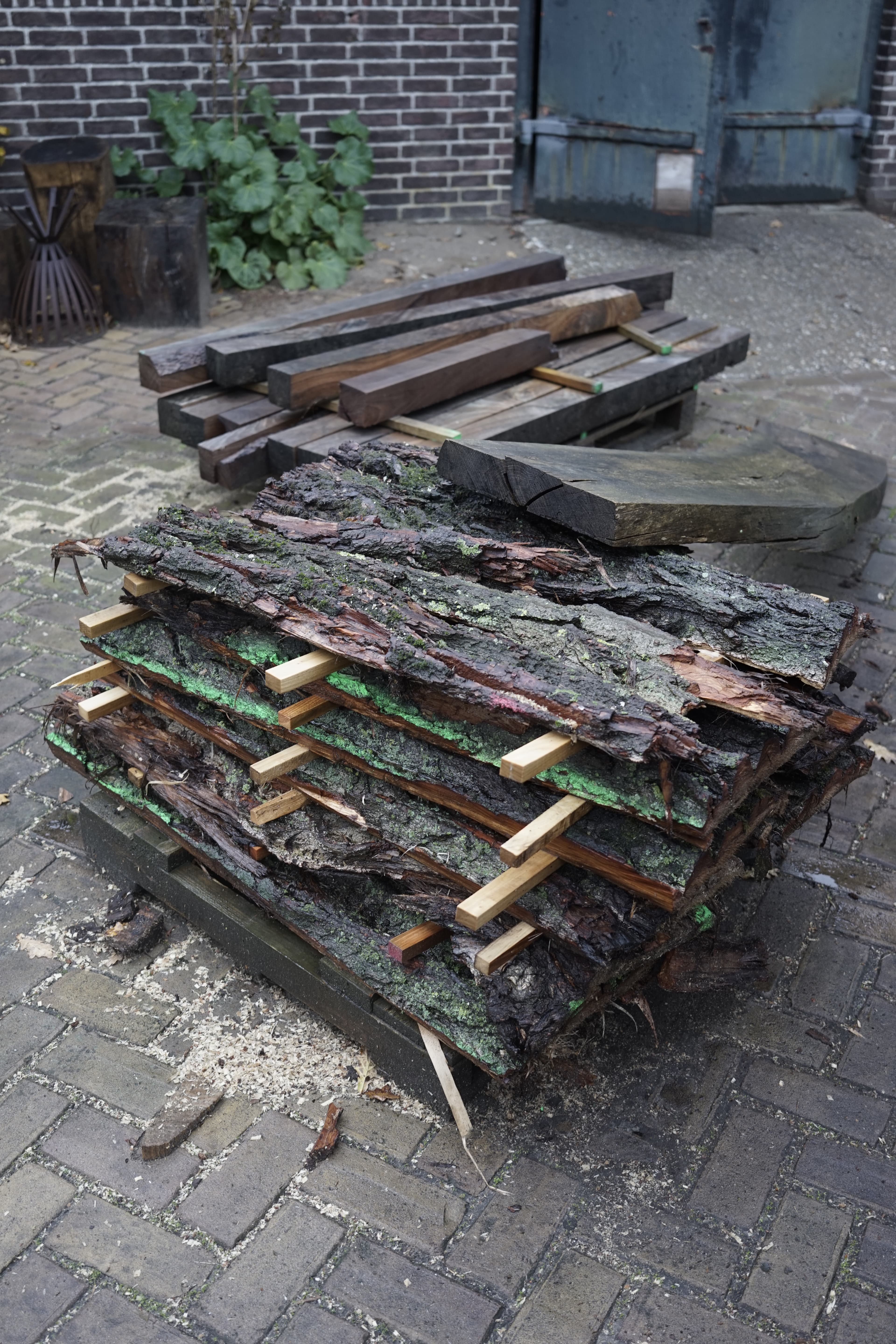 A stack of bark removed from a large, presumably poplar tree. The barks are stacked in layers with thin sticks of wood keeping distance between the layers. 
